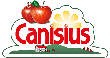 Canisius logo