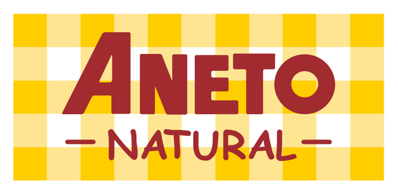 Aneto logo