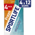 Sportlife Frozn Intense Chewing gum, 72g