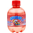 Chubby Kola champion Soft drink 250ml