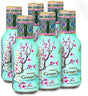 Arizona White Tea With Honey 6x500ml - Worldwide Delivery - Order Online